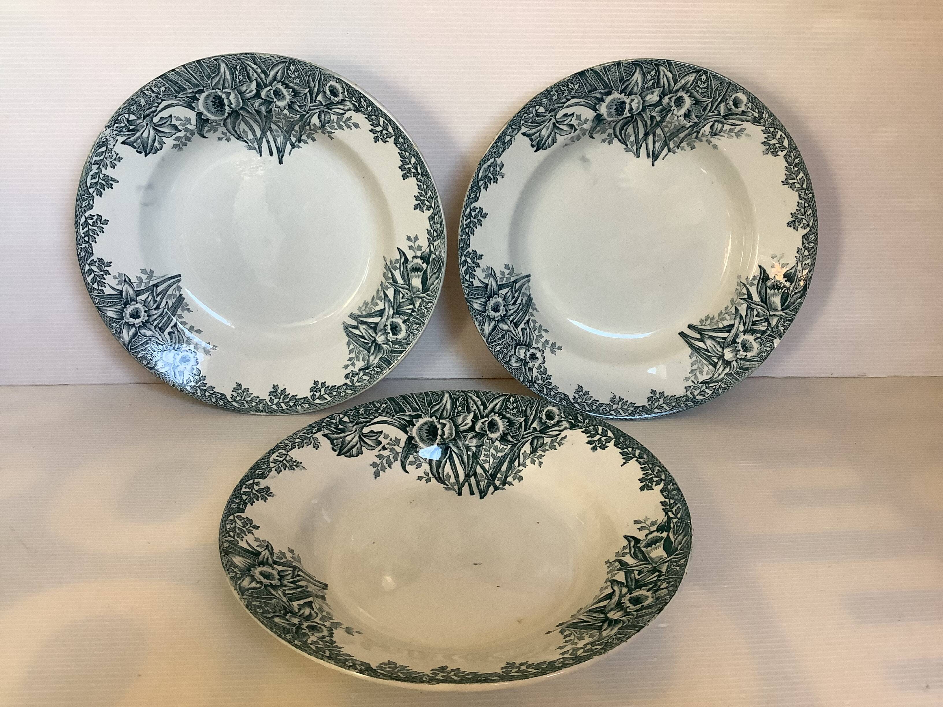 Trio of old Saint Amand narcissus model plates