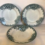 Trio of old Saint Amand narcissus model plates