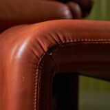 Coronado Armchair by Afra and Tobia Scarpa for B&B Italia, 1960s