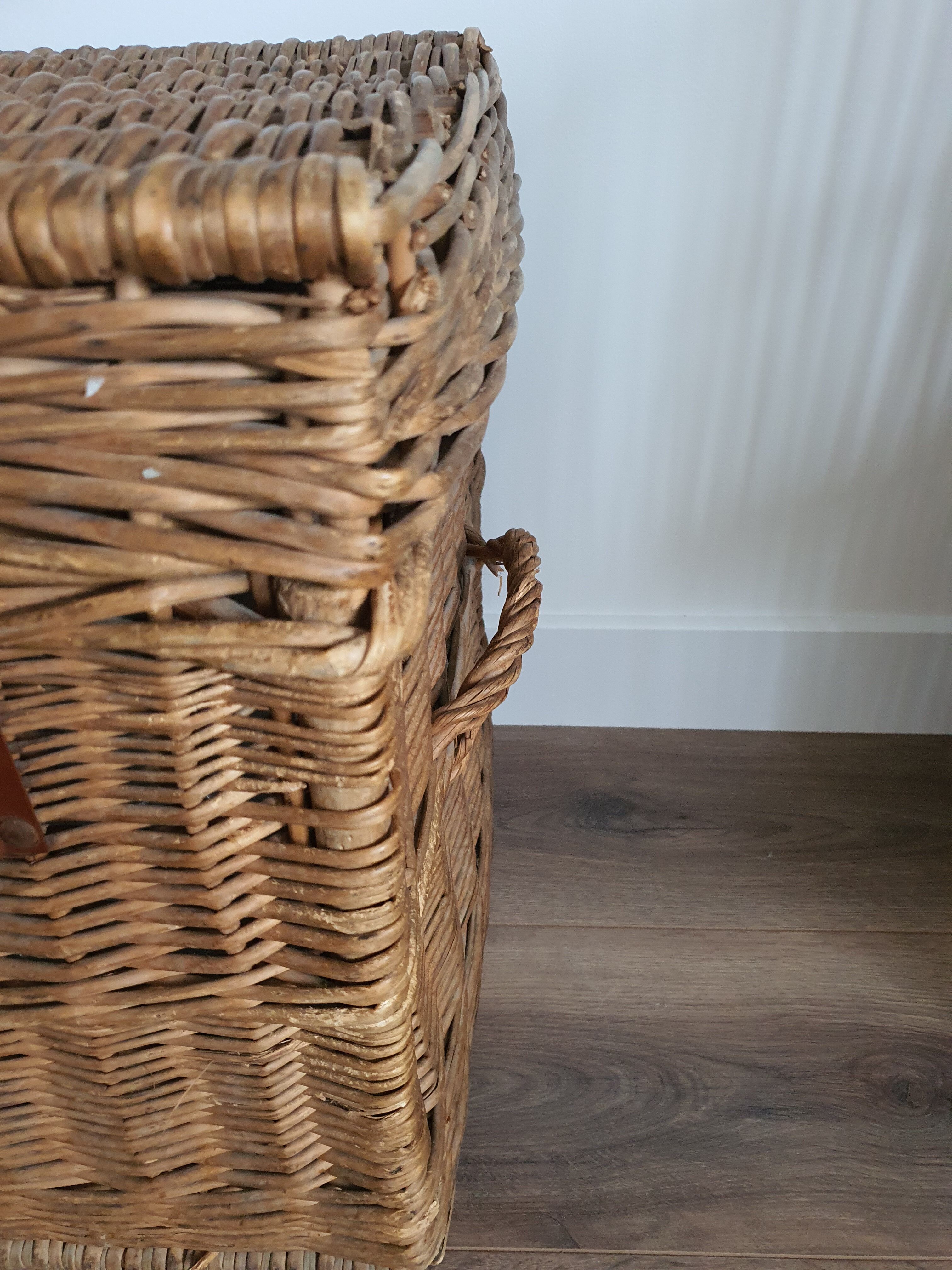 Wicker trunk
