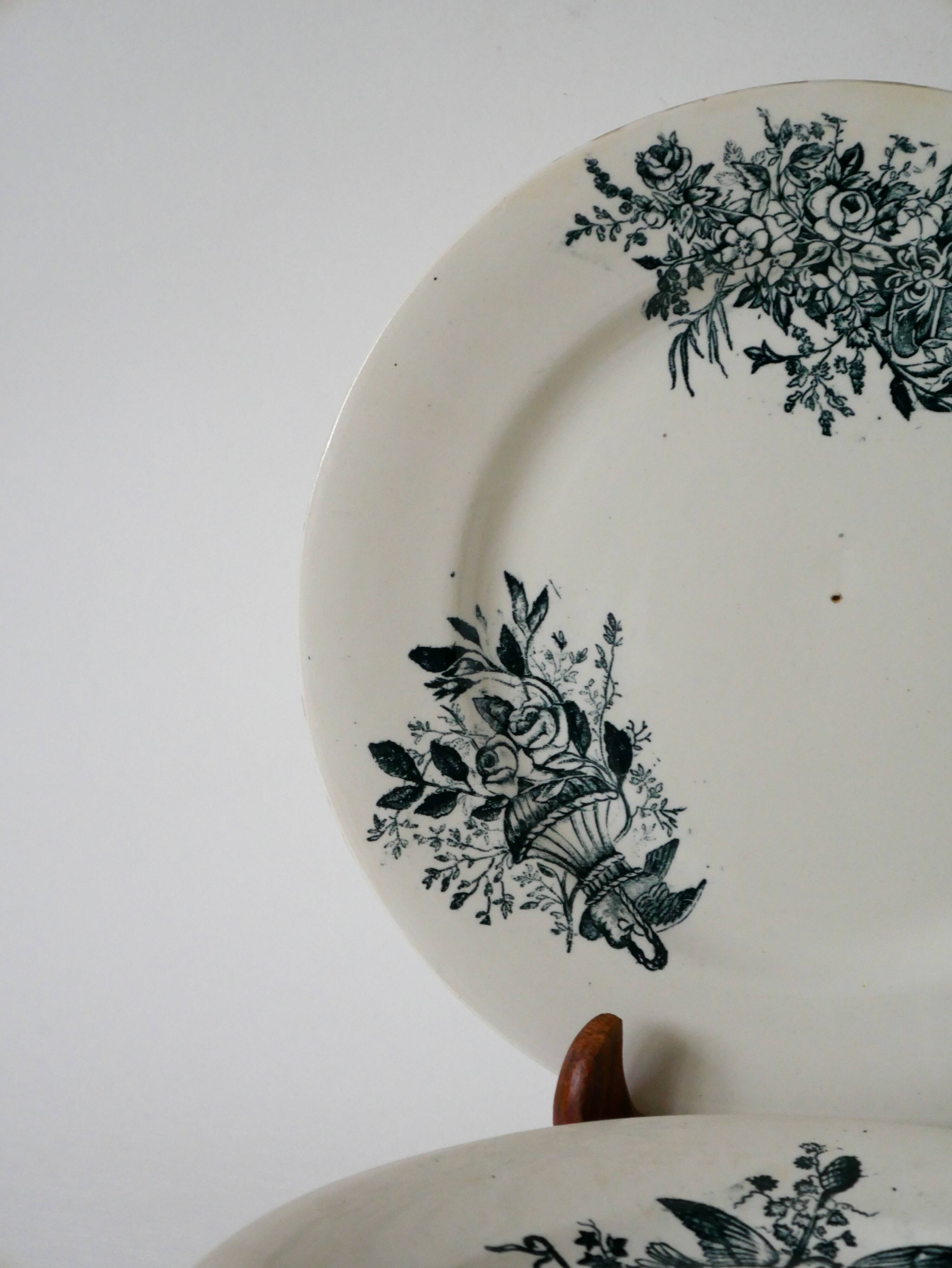 Set of 5 flat plates in terre de fer salins 19th century