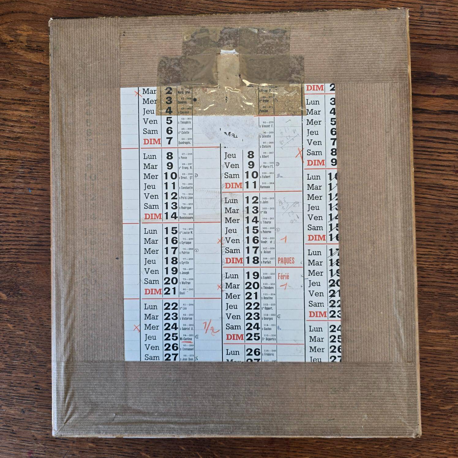 Antique botanical frame – “Carnation Variety” – Gilded wood