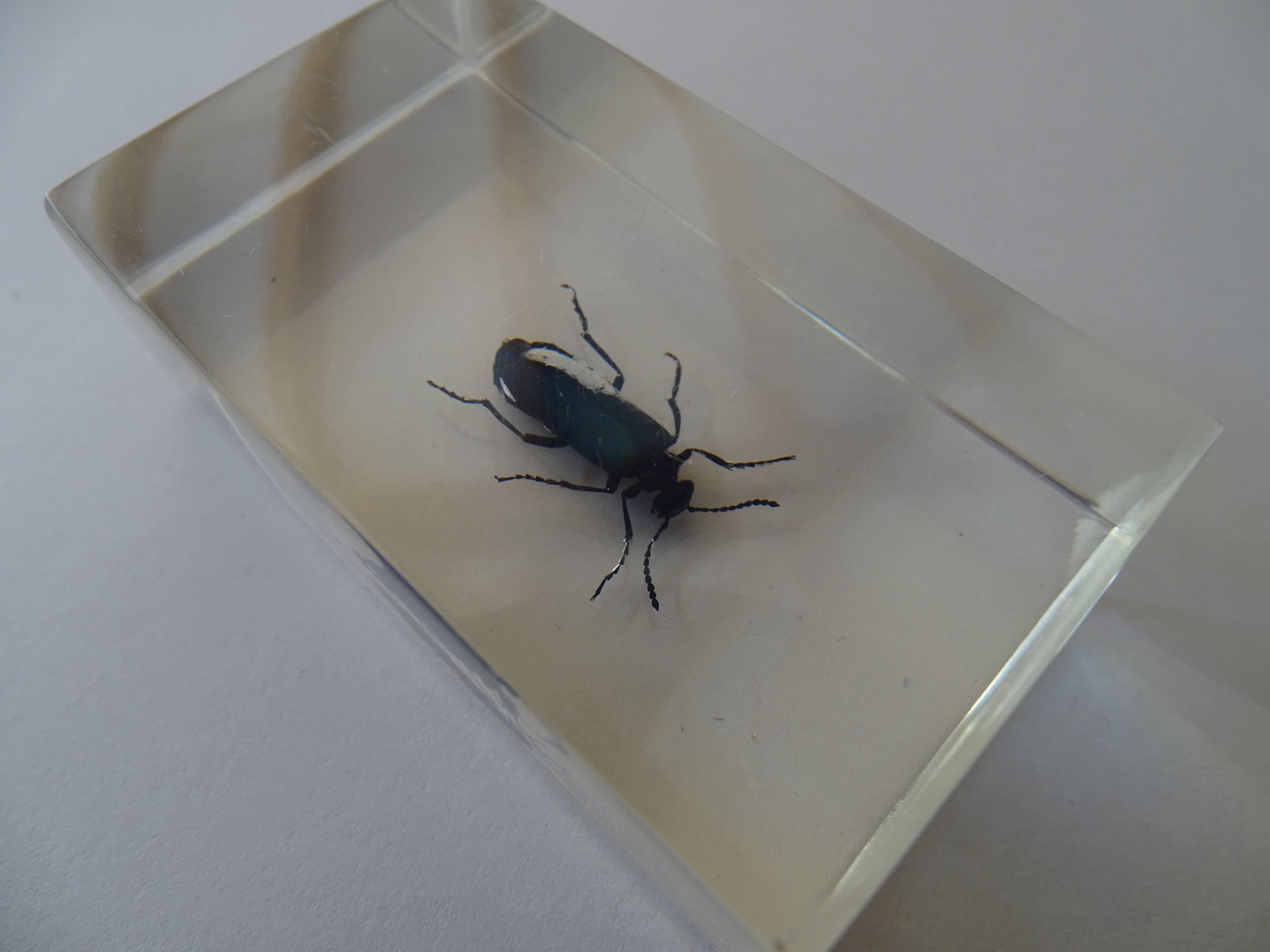 Lot 4 insects inclusions vintage resins to be identified