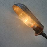 Workshop or desk lamp with hose