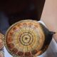 Corbeille en forme de paon