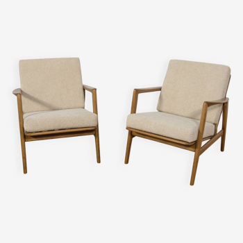 Mid-Century Model 300-139 Armchairs from Swarzędz Factory, 1960s, Set of 2