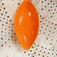 Ravier forme poisson