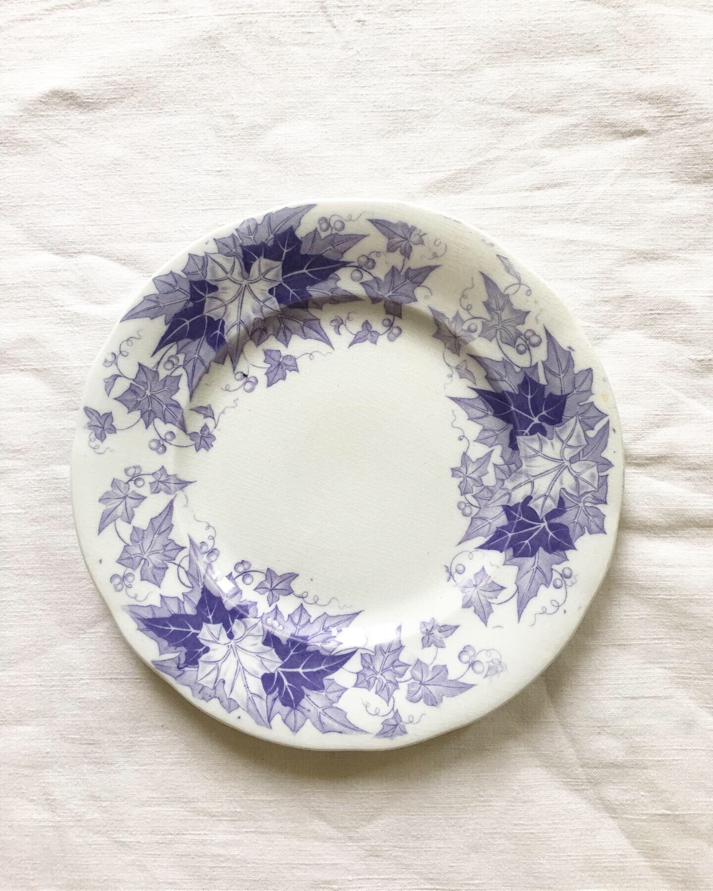 Set of 6 dessert plates Sarreguemines Bryonia Iron Land