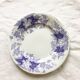 Set of 6 dessert plates Sarreguemines Bryonia Iron Land
