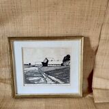 Engraving by Bo Rydstern, 1980s, under glass