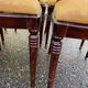 6 dining chairs made of solid mahogany in Regency style with yellow fabric.