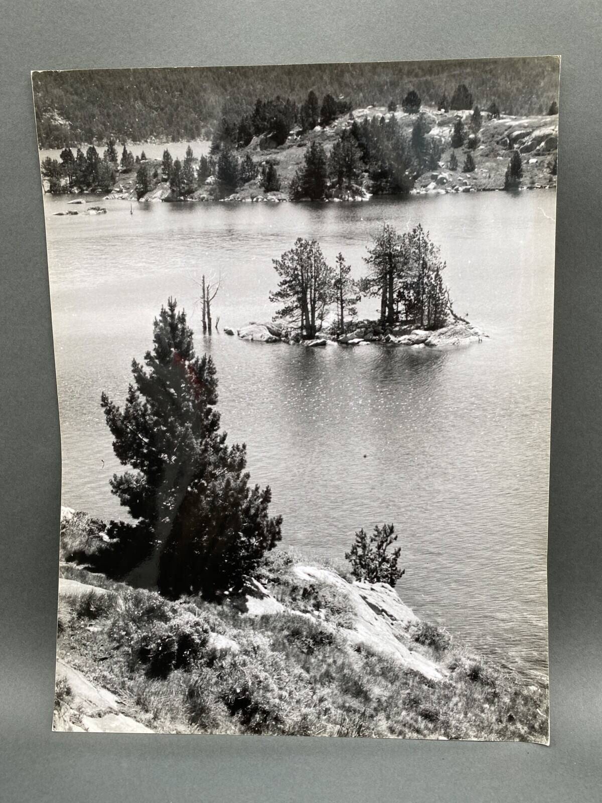 Silver gelatin photograph by Bernard Darot, By the Lake, 20th century