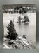 Silver gelatin photograph by Bernard Darot, By the Lake, 20th century