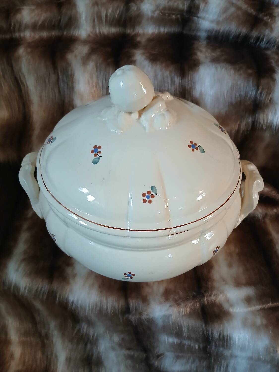 Soupière ancienne Digoin et Sarreguemines 