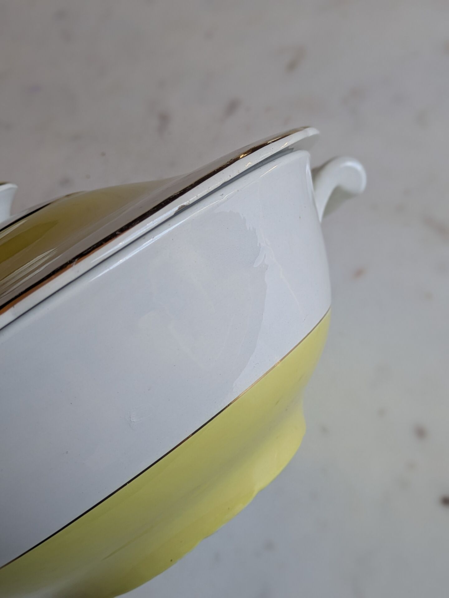 Old soup tureen, vegetable dish Lunéville K&G named "Daffodils"