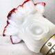 Portuguese mid century frosted glass tulip wall sconce lamp