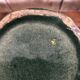 Old vallauris vase green ceramic & vintage gold decor #a798