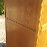 Scandinavian vintage cabinet sliding doors