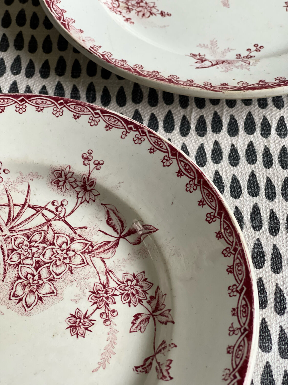 2 flat plates Margot