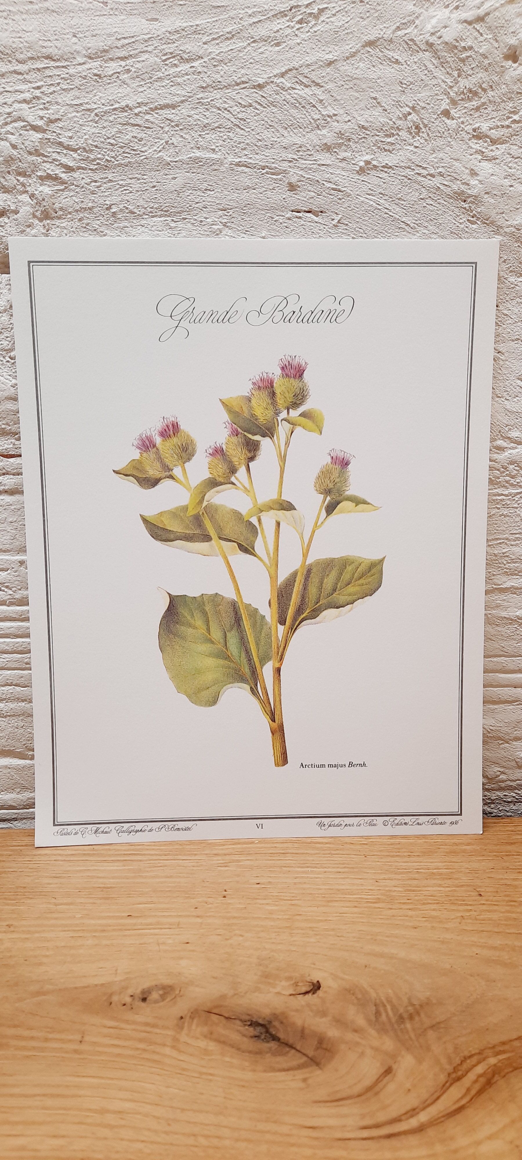 Botanical plate Grande Burdane