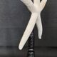 Cabinet of Curiosities white starfish linckia laevigata on base