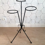 Plant holder in black wrought iron.