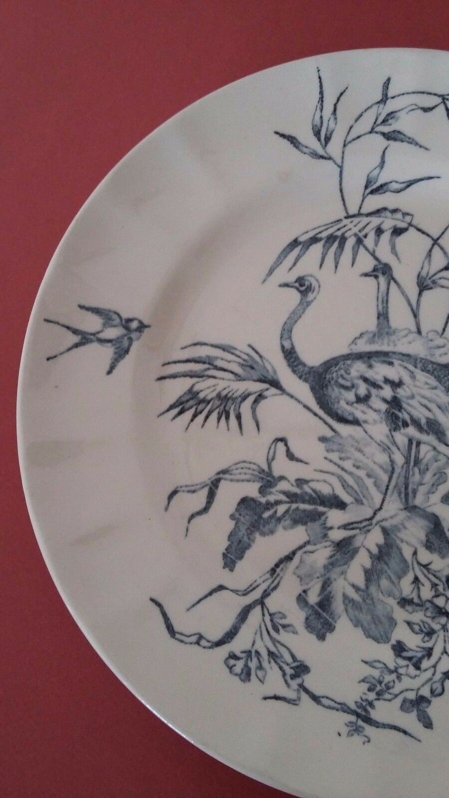 Plate Longchamp Earth model railway scenery ostriches Congo