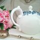 Antique teapot in ironstone pottery