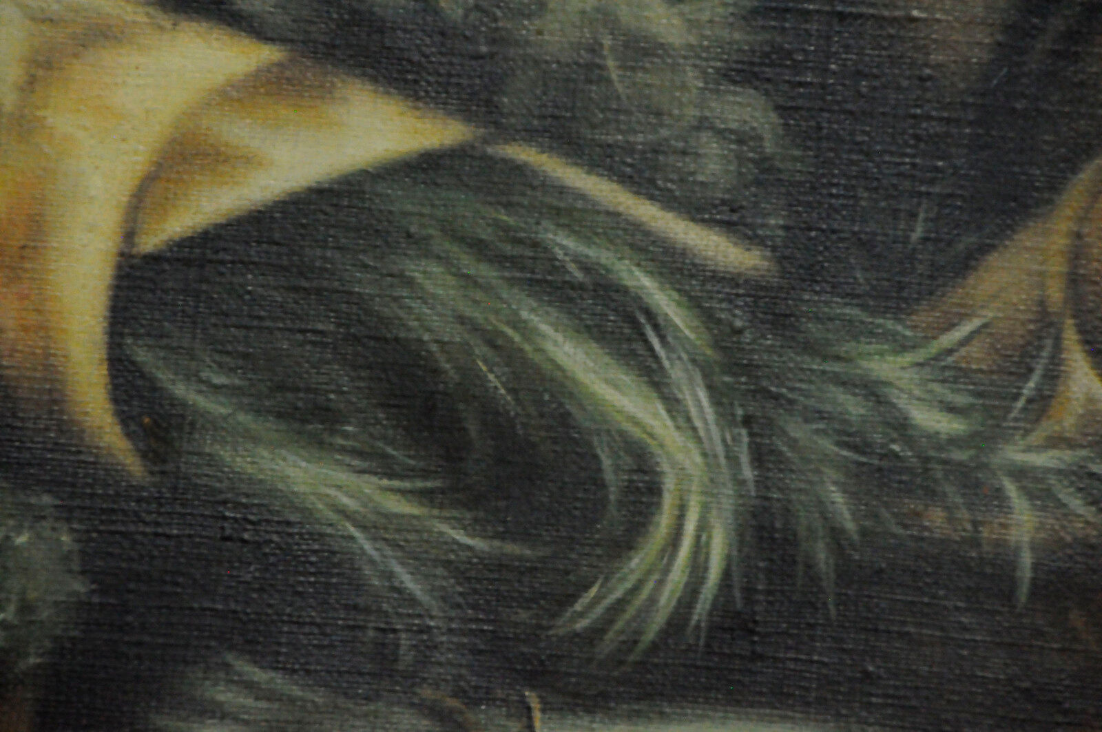 Still life - oil on canvas