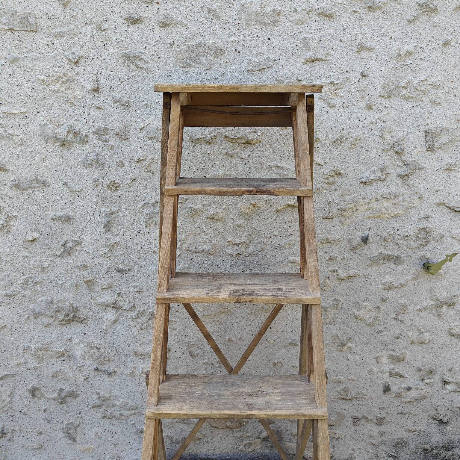 Large stepladder