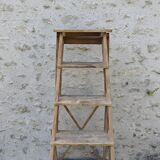 Large stepladder