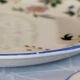6 dessert plates birds of paradise Gien