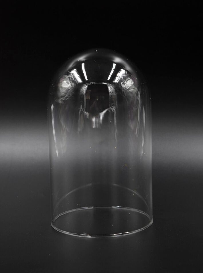 Glass bell globe for decoration cabinet of curiosity