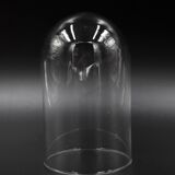 Glass bell globe for decoration cabinet of curiosity