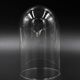 Glass bell globe for decoration cabinet of curiosity