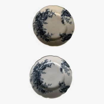Together two small plates in English porcelain Johnson Bros