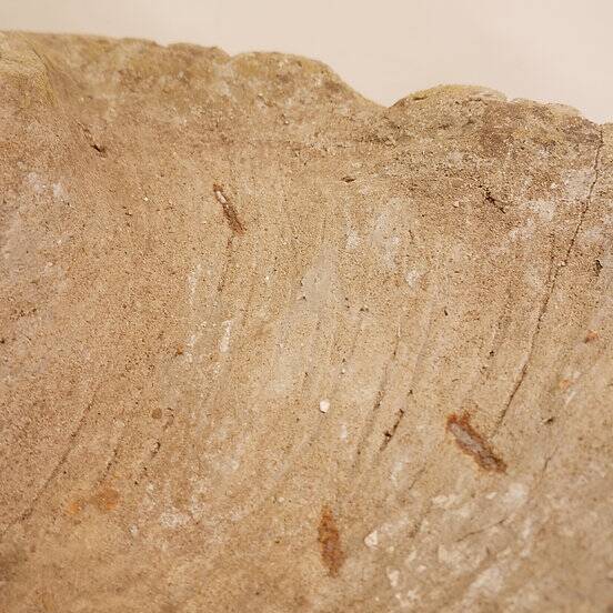 Antique Cement Shell Bird Bath