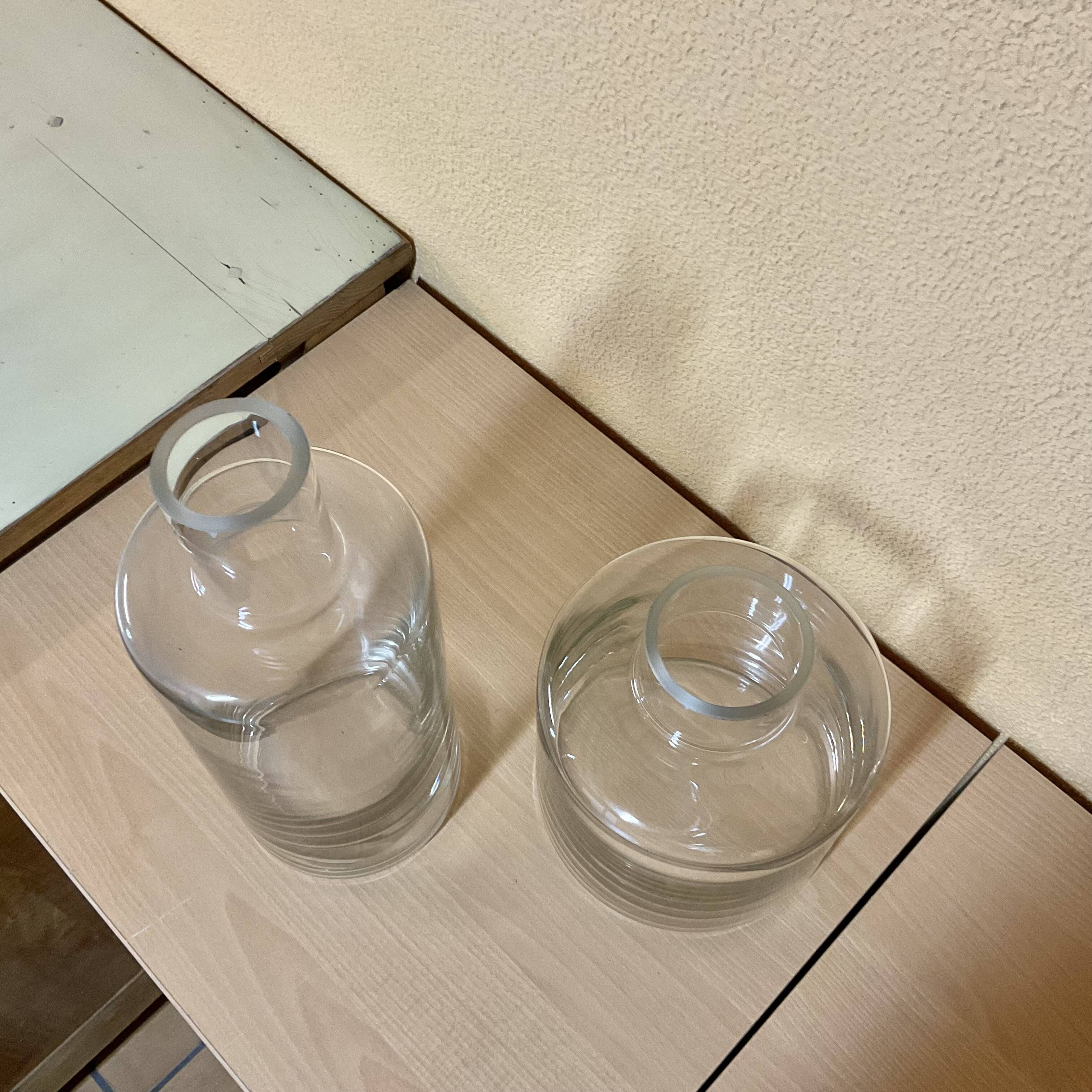 Pair of Designer glass vases