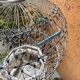 Grande cage à oiseaux orientale