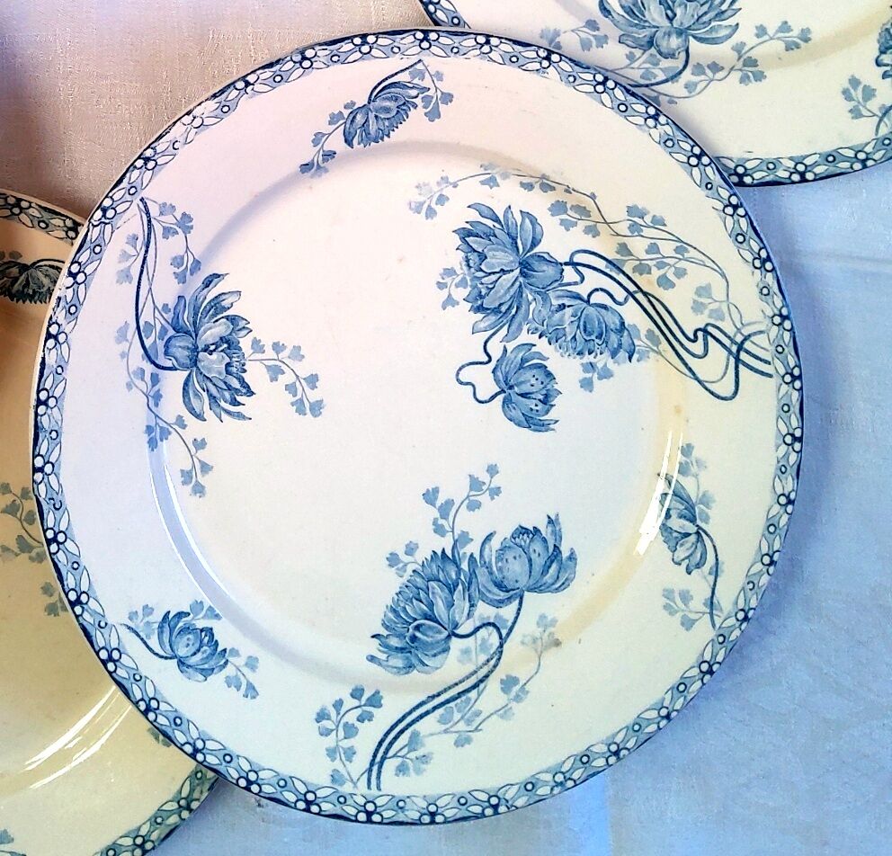 Lot of old plates in iron earth