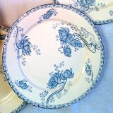 Lot de 21 assiettes anciennes en terre de fer
