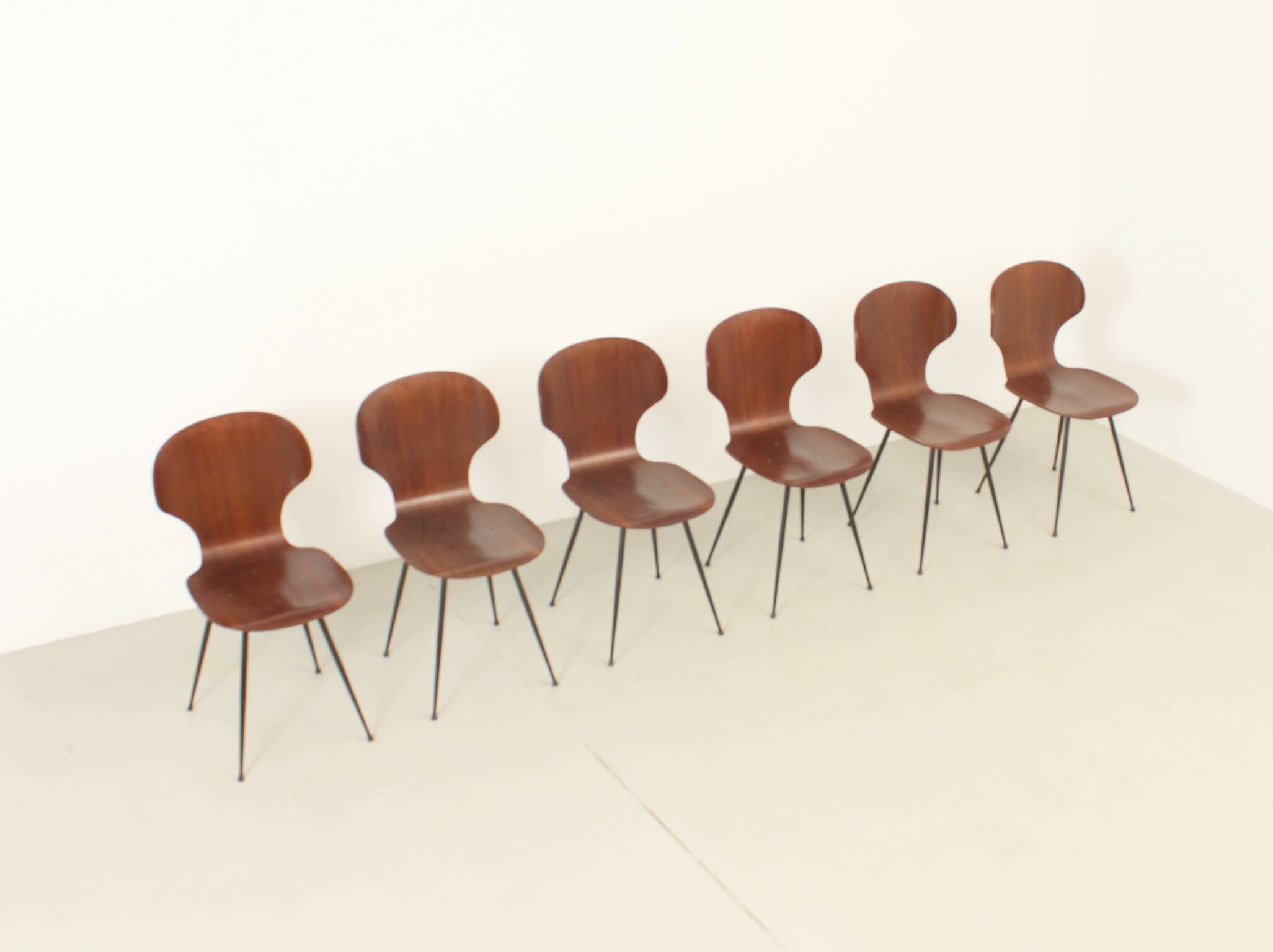 Six plywood chairs by Carlo Ratti, Italy, 1950s.