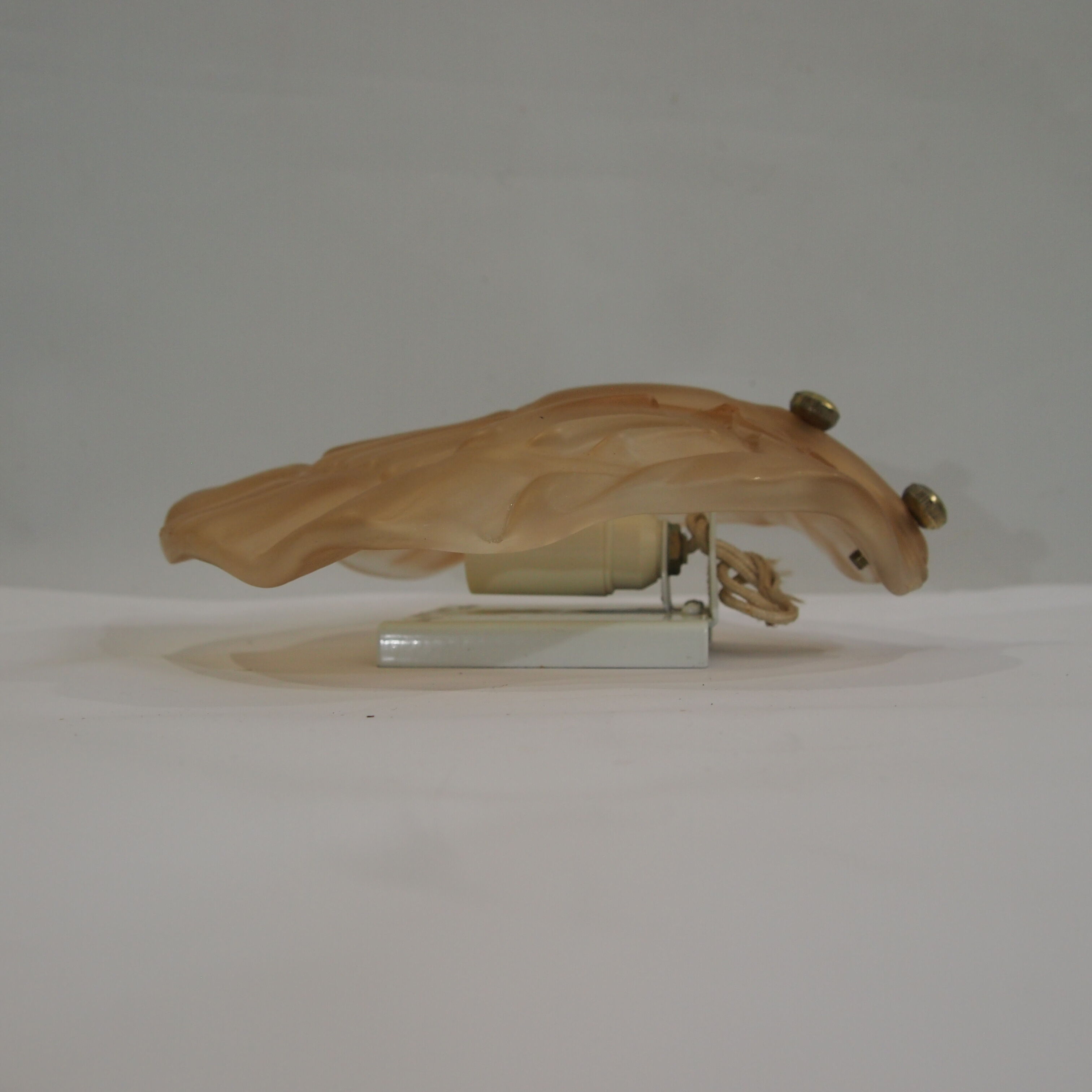 Wall shell sconce