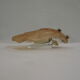 Wall shell sconce