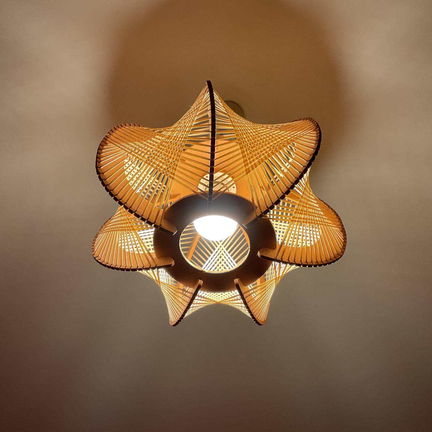 Pendant light, vintage lampshade