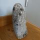 Concrete animal squirrel garden statue