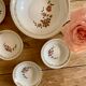 Dessert service or fruit salad in French porcelain