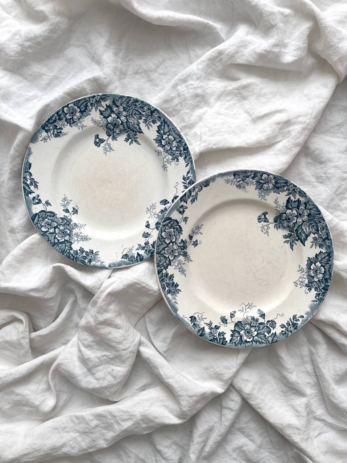 2 flat ironstone plates “Marie Louise” Saint Amand and Hamage