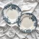 2 flat ironstone plates “Marie Louise” Saint Amand and Hamage