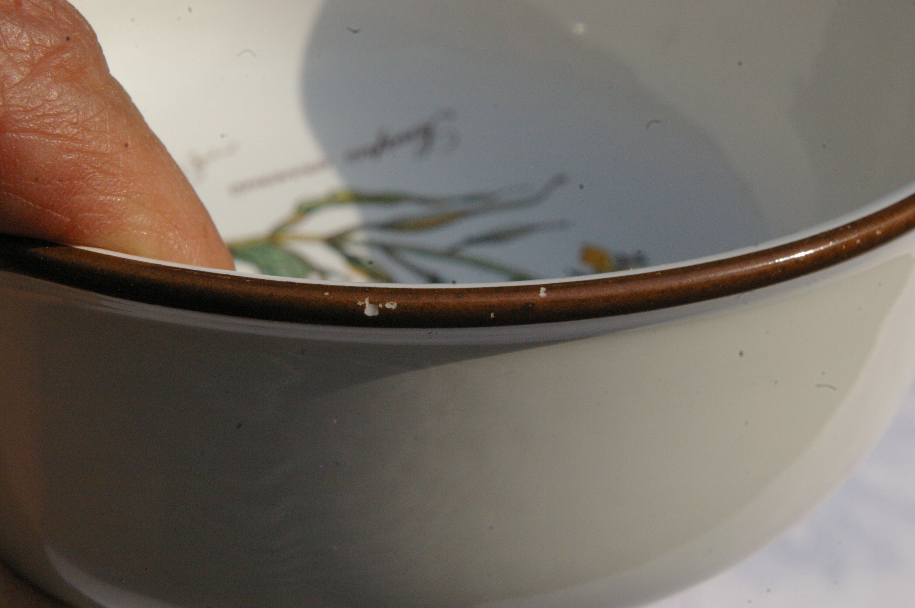 Small Batch of dishes and saucer Villeroy & Boch model Botanica